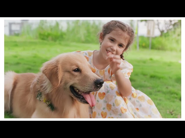 YouTube Video -