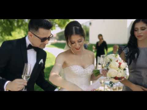 Remi si Petrisor portofoliu 3