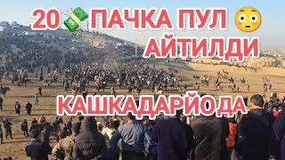 1 той 🐎 20 пачка пул💸 Камаши #БОТТИ ПОЛВОН БОБУР БУЛДИНГ #ШАТУН БН