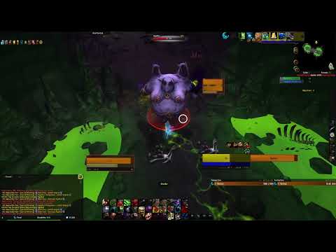 9.2.7 Feral druid Mage tower kill