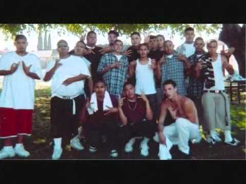 YouTube          Fuck ormiga