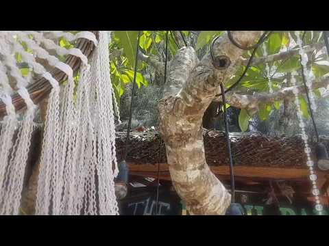 Liphe - Because (Lofi Hip hop)