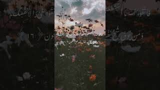 حالات واتس صلاح الباجي
