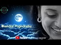 Whatsapp Status Nila Kaigirathu