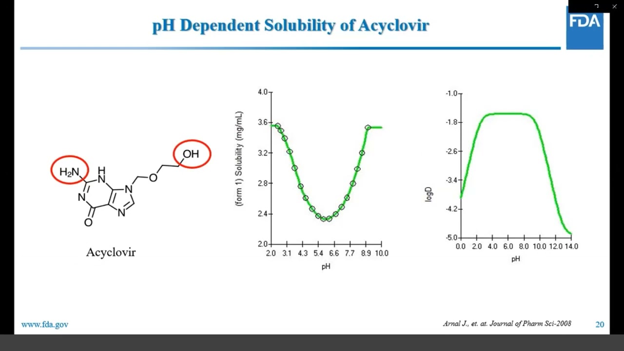 2021 PBPK Workshop Day 2 Session 2 Presentations and Panel Discussion