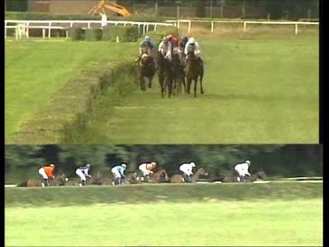 Galopprennbahn Dresden - 11.08.2012 - 2. Rennen