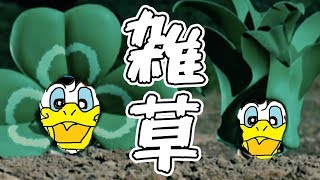 ﾄﾞﾅﾙﾄﾞ○ｯｸが本気で「雑草」歌ったそうですｗｗｗｗｗ【ヒカキン＆セイキン】