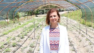 Dünya Çevre Günü ve Tarım Üretimi