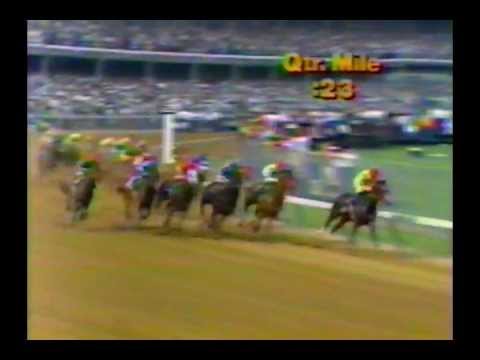 1982 Kentucky Derby - Gato del Sol