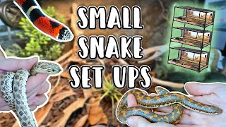 Redoing my Small Snake Enclosures // Reptizoo Stacking Enclosures for my Hognoses and Sand Boa
