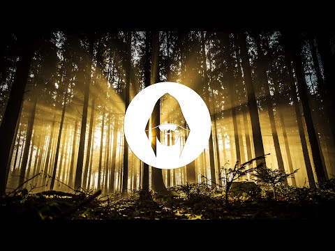 Miss Monique, Boris Brejcha, Worakls, Hozho | Progressive House, Melodic Techno Dj Mix 2021 by Ben C