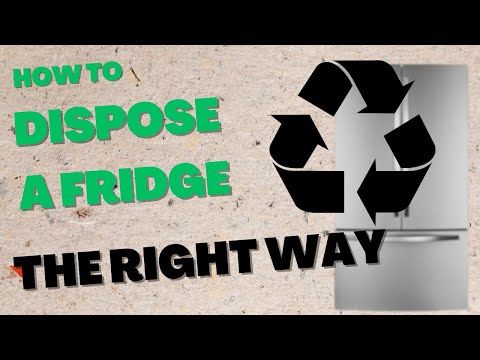 Eco-Friendly Refrigerator Disposal - Save The Ozone And Your Wallet!