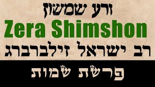 זרע שמשון - פרשת שמות - הרב ישראל זילברברג