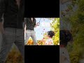 Chand Tare Phool Shabnam Love Status Video Beautiful Love Status Video ️ Shorts Sweet Somyel 02