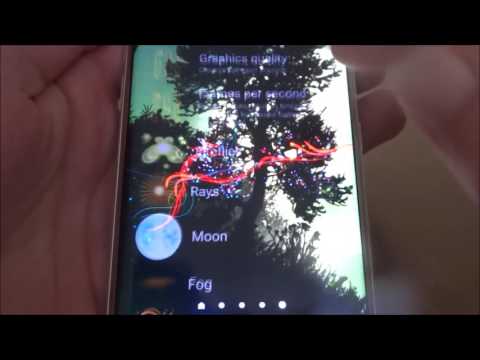 Firefly Forest Live Wallpaper Video