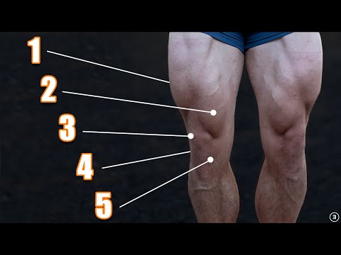 Exercises for Knee Pain (5 Things You Must Do!)