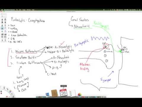 Pathophysiology of neurotoxic venoms in North American Crodalids & Elapids