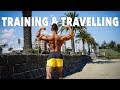 A NEW YEAR | TRAVEL ADVENTURES | CHEST WORKOUT