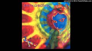 Psykosonik - Silicon Jesus (House of Jesus Mix)