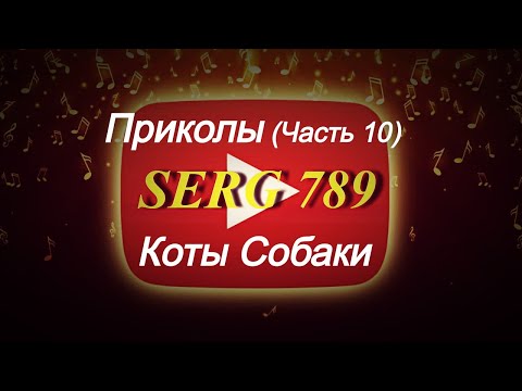 🔴Приколы Коты Собаки (Часть 10) ✅ 🙂 👍 🐱 🐶