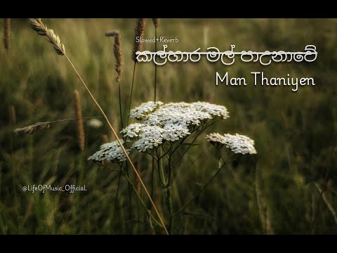 කල්හාර මල් පාඋනාවේ.  Slowed+Reverb