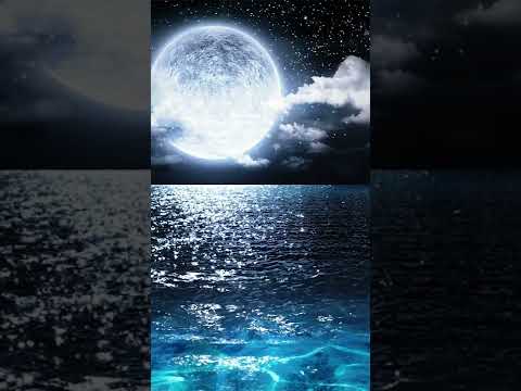 Moon Shining Over the Ocean 🌕🌊⭐️