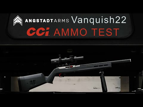 9mm AR 15 Battle // CMMG Banshee Vs. Angstadt Arms