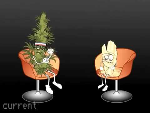 Marijuana VS  Crystal Meth - The master debaters