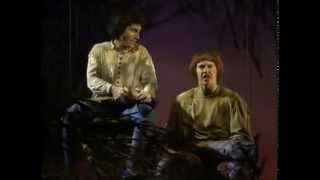 Into The Woods the musical (1991)