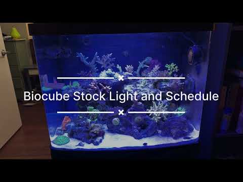 Coralife Biocube 32 Stock LED Light Schedule and Settings