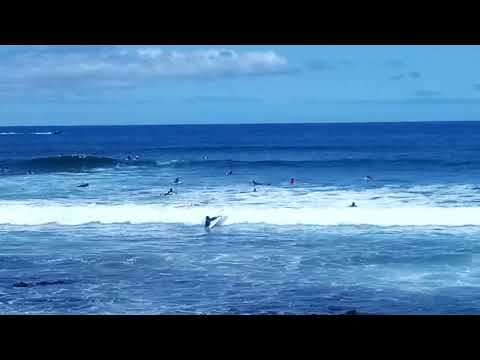 Surfing the Waves in Playa del las Americas, Tenerife, Spain