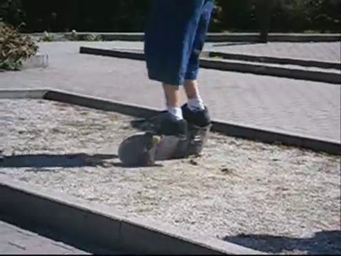 the lazee asskickers part 1