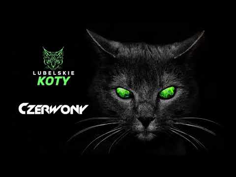 Czerwony- Lubelskie Koty [PROMOMIX]