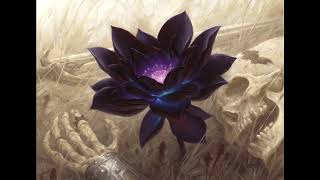 Namito - Lotus