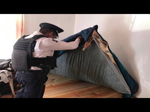 Anexos en Guanajuato