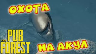 Как ловить кроликов в форесте