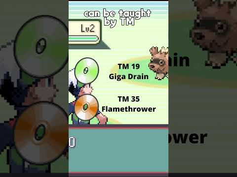 Only Level 42 Mudkip Learns This Move