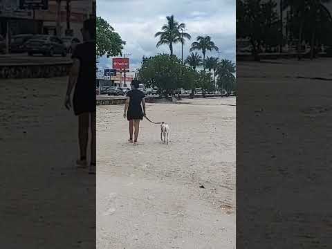 IGUABA GRANDE RJ ♥️  MANHÃ/3^ FEIRA . 21/10/2025.