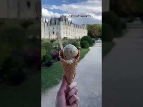 One of my FAVORITE places in the world! - Loire Valley, France vlog day 1 #travelvlog #francetravel