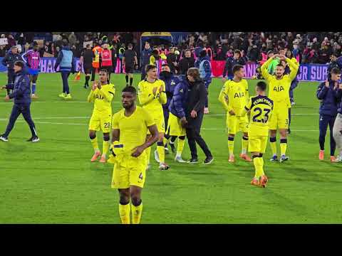 SPURS CELEBRATE WIN AT FULL-TIME WHISTLE: Crystal Palace 0-1 Tottenham: The Players After the Game