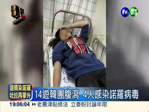 14遊韓團上吐下瀉 4人確診諾羅*cg1 Ksky