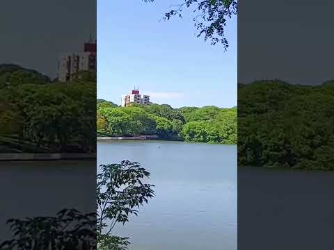 Parque Alfredo Werner Nifflelly. Maringá Paraná.
