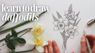 How to Draw Daffodils ❃ Easy + Beginner Friendly Drawing Tutorial