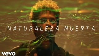 Gustavo Cerati - Naturaleza Muerta (Official Video) [Fan-Made]
