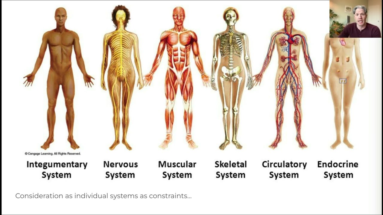 SPSC 1195 - Individual Constraints - Physiological Systems over the Lifespan