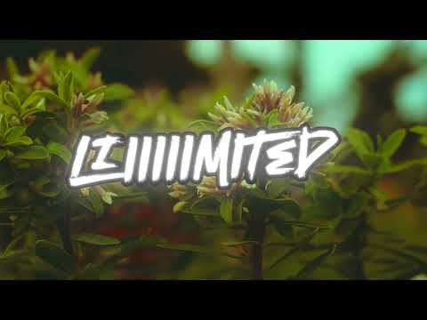 Moeazy, INFANINE - Gratitude (Lyric Video) [Produced by Anweezy]