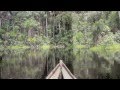La Selva
