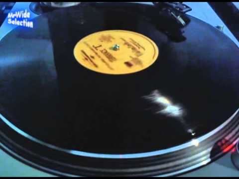 Terrance T. "if u can't learn 2 love her" (Vocal Rap Version Remix Feat N-Tyce) 1995 - RARE PROMO