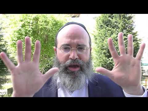 !! Einführung in  '10 Sefirot' - C"habad System ●