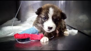 This is Goodbye, please don&#39;t forget about her